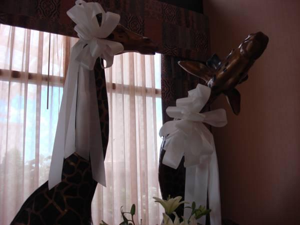 Holiday Inn Quincy By Ihg Buitenkant foto